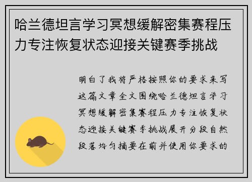 哈兰德坦言学习冥想缓解密集赛程压力专注恢复状态迎接关键赛季挑战 哈兰德坦言学习冥想缓解密集赛程压力专注恢复状态迎接关键赛季挑战